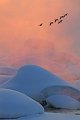 220 - SUNRISE 4B - HAUTA-AHO EERO - finland